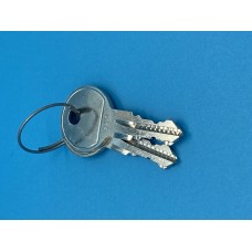 99-15-0045-A - Magnetic Gate Keys (Set of 2) - #19 Keys